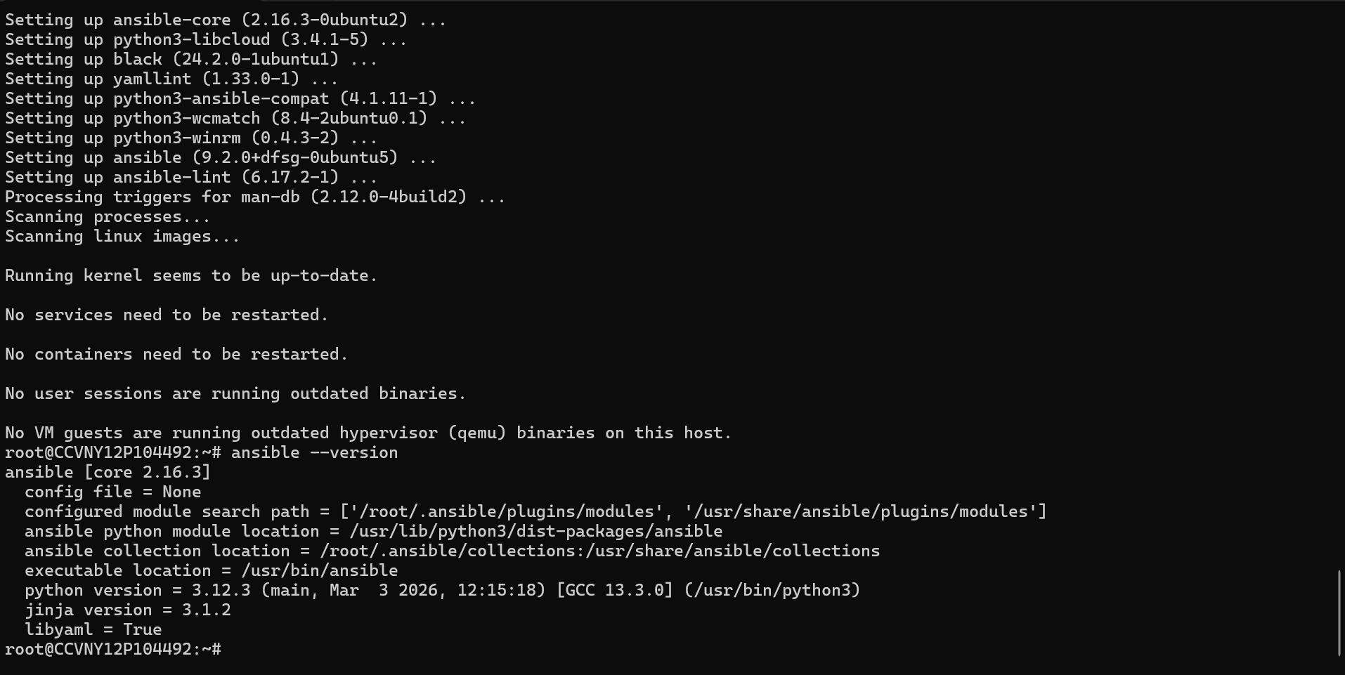 Ansible version output